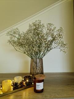 Zelena Saduba - Nevitskoye - 1