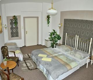 Hotel Green House - Teplice - 4