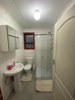 Man and Dog Log Cabin - 8