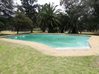 Man and Dog Log Cabin - 6