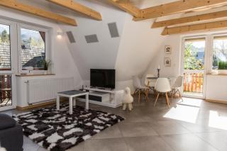 udanypobyt Apartament Widokowy - Kościelisko - 9