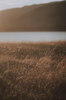 Barrel Land Blidinje - Drvena bačva za spavanje - 4