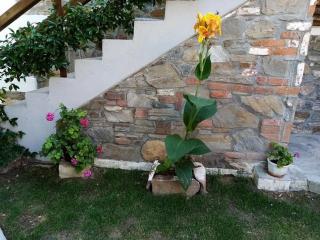 Petrino1880 sea-vacation apartment in Chalkidiki - 5