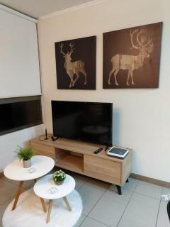 Acogedor Departamento Santiago - 1