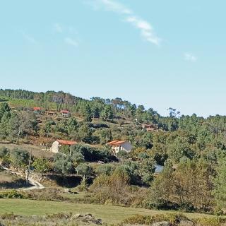 Quinta do Mineiro-Serra da Estrela - Matança - 8