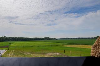 B&B De Scheersehoeve - 8