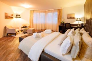 Business Hotel First - Feusisberg - 9