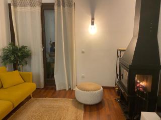 Cal Xera - Acollidora planta baixa amb llar de foc i jardí privat - Puigcerdà - 5