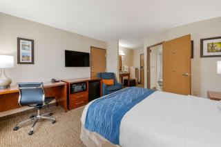 Comfort Inn Anderson South - Anderson - 2