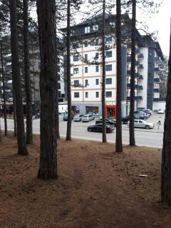 Zlatibor Apartman Oasis - Zlatibor - 9
