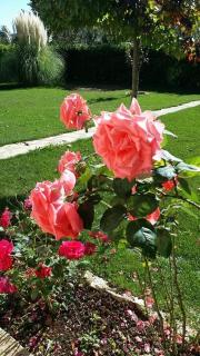 Apartman Corluka Grude - 7