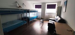 FULL FLAT 3 BEDROOMS SAARBRUCKEN CENTER -11 PEOPLE - Saarbrücken - 9