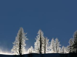 Ferienwohnung Pyhrgasblick - 2