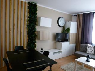 Apartament BB Czarny potok - Krynica-Zdrój - 0