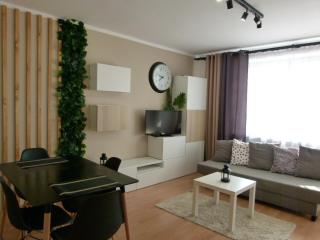 Apartament BB Czarny potok - Krynica-Zdrój - 8