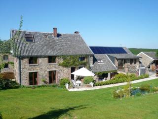 Charming House in Theux with Private Pool - Theux - 8
