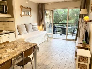 Joli cozy appartement, aperçu mer, piscine, gardien - Cannes - 9