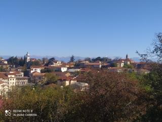 GUEST HOUSE DAVID - Sighnaghi - 5
