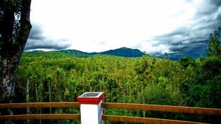 Memories of Malnad - Chikmagalur - 0