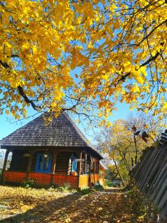 Complex Tradițional Casa din Vale Breb - Breb - 3