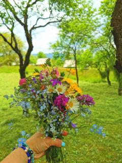 Complex Tradițional Casa din Vale Breb - 2