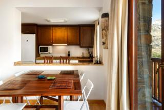Apartamento Saliecho 3 - Formigal - 1