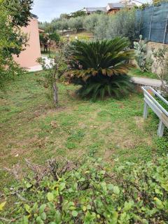Casa dell'ape Maia - Termoli - 8