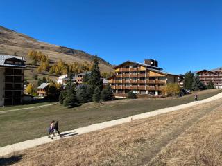 Pieds des pistes, 2 alpes, appartement avec très grande terrasse - Les Deux Alpes - 7