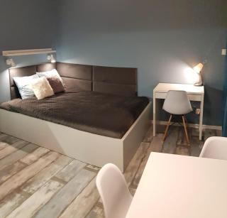Baltic Studio 45 - Stegna - 7