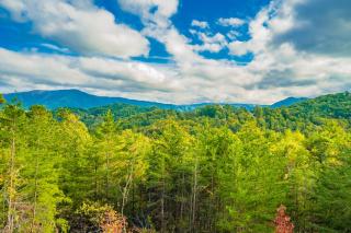 Gone To Therapy, Game Room, 1089 of FREE Attraction tickets for each paid day, Dollywood and More - Sevierville - 5