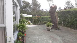 Acogedora casa en barrio tranquilo de Piriápolis - Piriápolis - 1