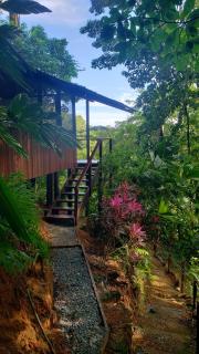 Finca la Bonita, Playa Carate - Carate - 0