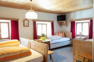 Alpina Hotel-Apartments - Santa Maria Val Müstair - 8