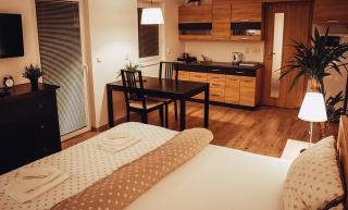 Apartmán Wellness Sedmihorky - Turnov - 9