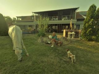 Silver Horse Ranch - 9