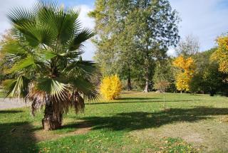 Domaine La Bastide - Cleyrac - 4