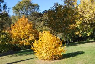 Domaine La Bastide - Cleyrac - 3