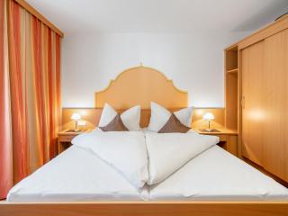 Apartment Rosa-2 by Interhome - Mayrhofen - 2