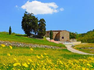 Holiday Home Locazione Turistica Selvapiana by Interhome - Greve in Chianti - 0
