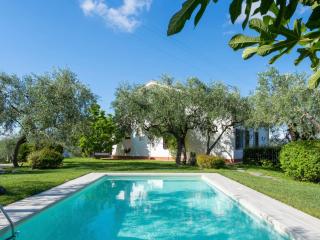 Apartment Alberto A by Interhome - Diano Castello - 7