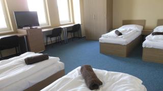 Penzion s wellness Uherské Hradiště - Uherské Hradiště - 9