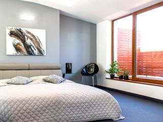 Młyńska 8 Apartament z prywatnym basenem - Bielsko-Biała - 3