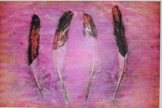 Ferienwohnungen Federleicht - 3