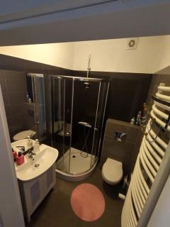 Apartamenty nad jeziorem charzykowskim Villa Emilia - Charzykowy - 5