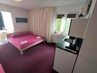 Apartamenty nad jeziorem charzykowskim Villa Emilia - Charzykowy - 3