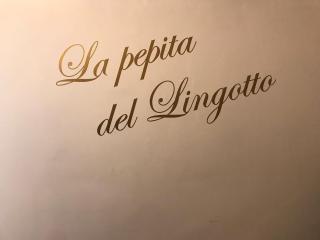 La pepita del Ling8 - Turin - 0