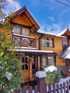 Ushuaia Lodge - Ushuaia - 1