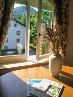 Apartment mit Bergblick kostenloser Parkplatz, WLAN, TV, Einbauküche - Ruhpolding - 0