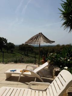 Monte Abaixo - Almodôvar - 1
