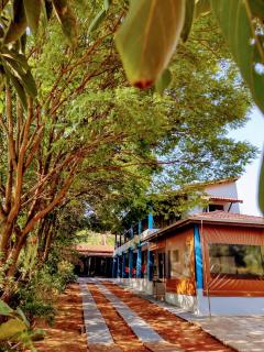 Suits - Canto do sabia - 9